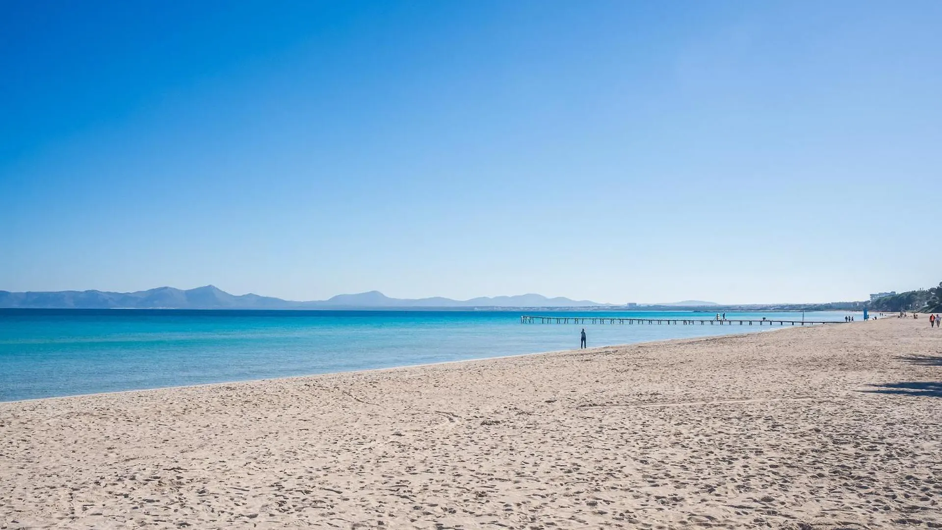 Ideal Property Mallorca - Doris Sa Rapita Spain